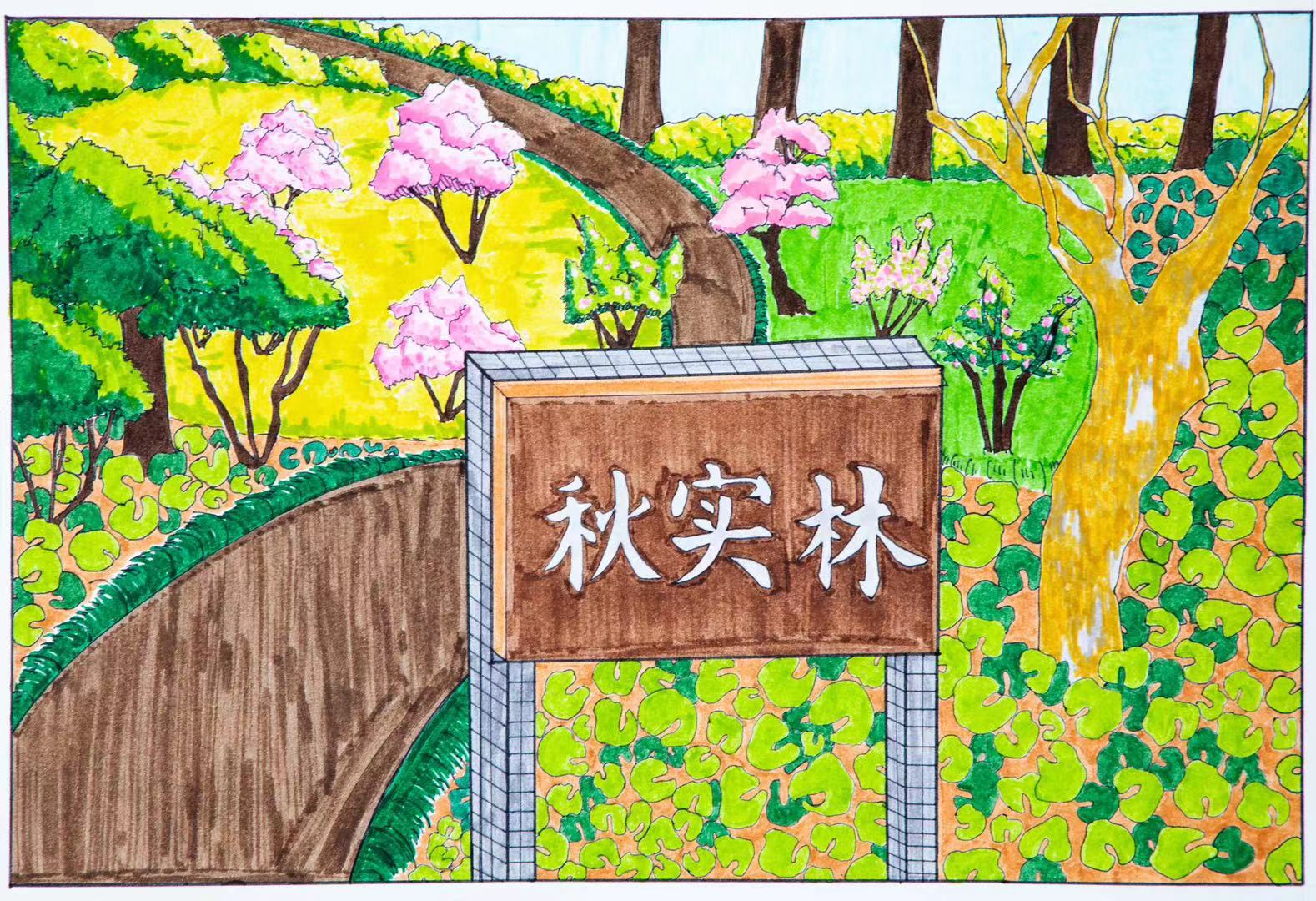 20级艺术中本 陈雅琪