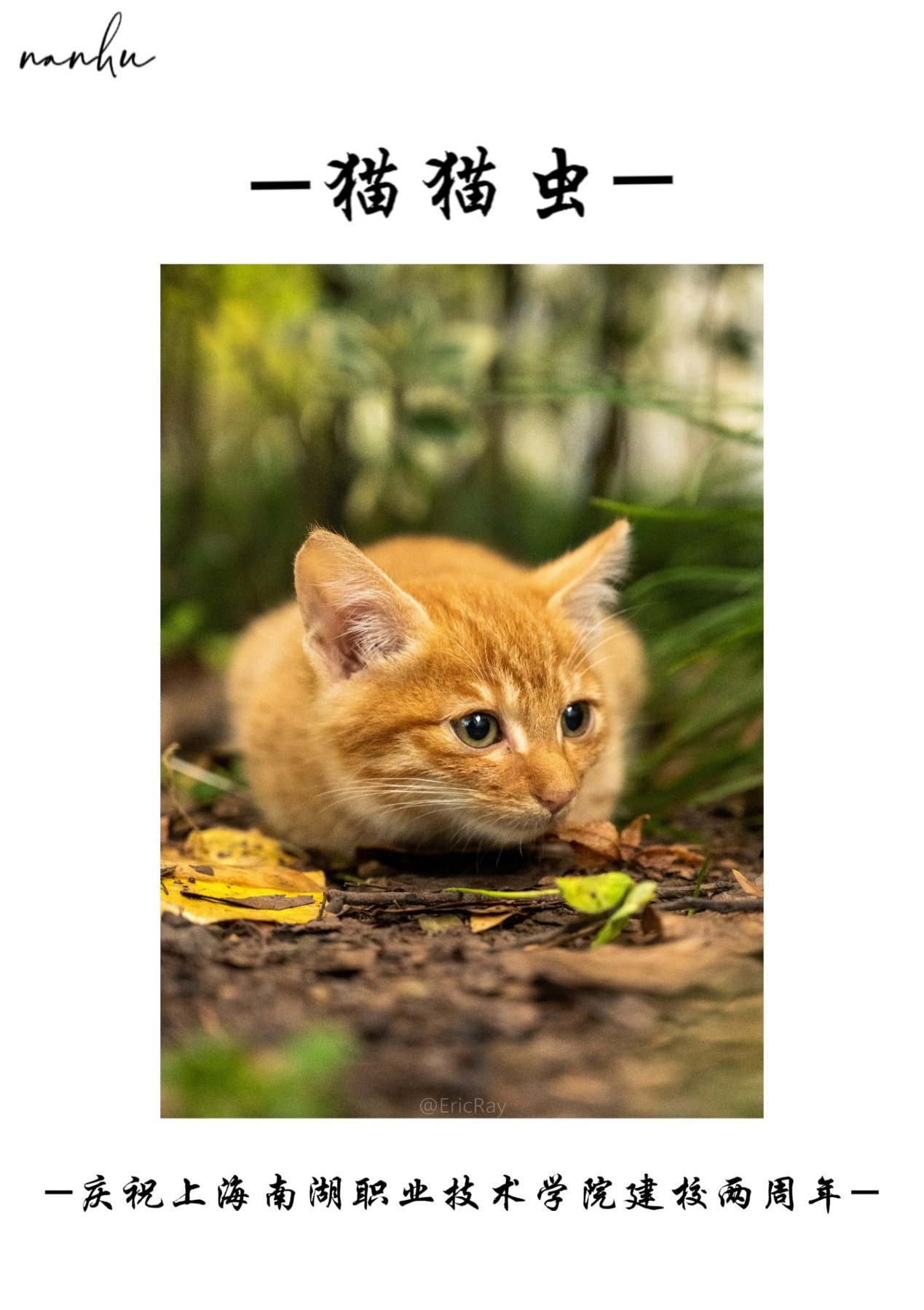 班级：虚拟现实2151