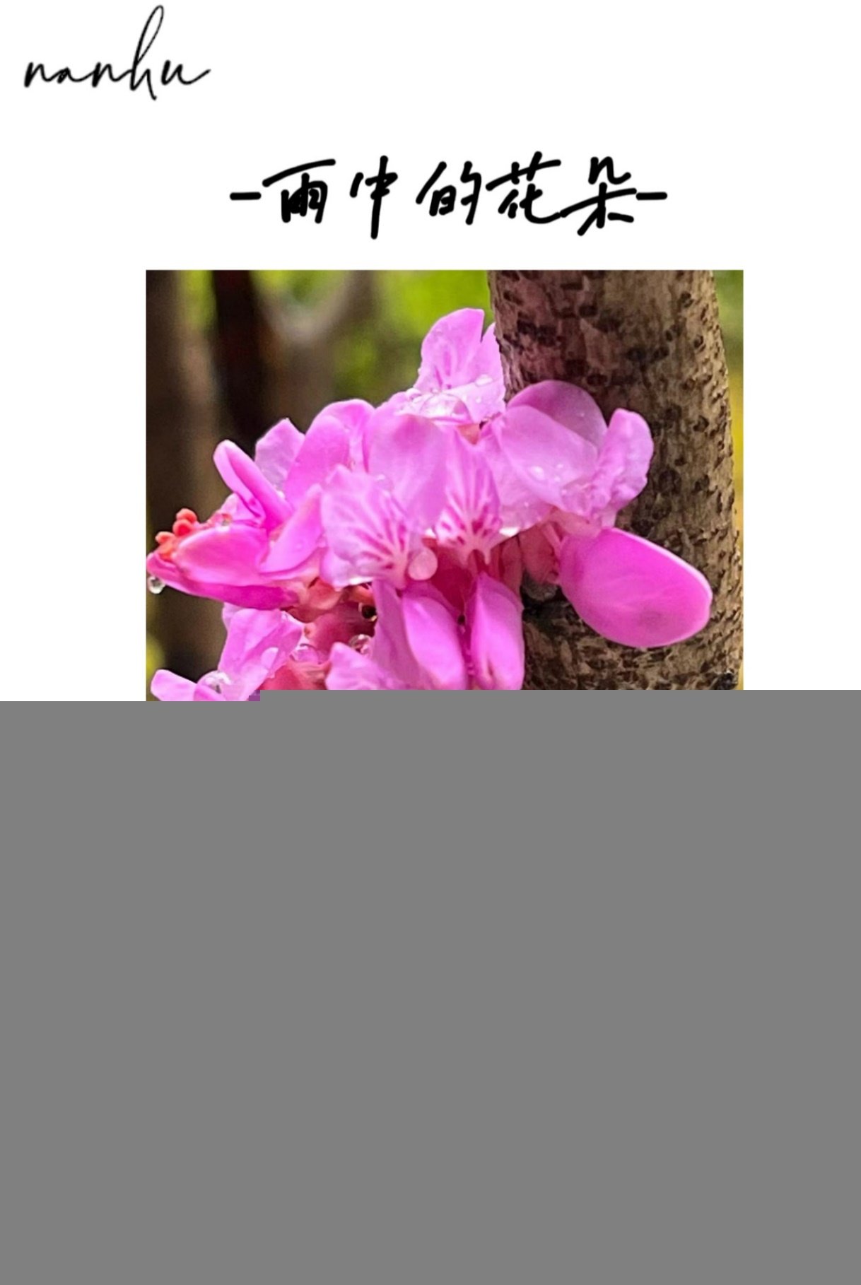 一网通办 统一身份认证 邮箱 南湖直